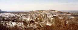 canada - qu�bec - Montr&eacute;al : vue du Mont Royal 
Le Mont Royal domine Montr&eacute;al. C est un des lieux pr&eacute;f&eacute;r&eacute;s des montr&eacute;alais pour courir, faire du v&eacute;lo, bronzer ... Depuis le chalet, vous aurez une vue magnifique sur la ville. N h&eacute;sitez pas &agrave; escalader ce site incontournable. 
Cette photo montre le cimeti&egrave;re Notre-Dame-des-Neiges pris depuis le Mont Royal.