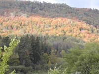 canada - qu�bec - D&eacute;but d automne