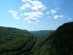 canada - qu�bec - Nature : une route au milieu de la foret
