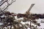 canada - qu�bec - Montr&eacute;al : le parc olympique   et le jardin asiatique depuis   le jardin botanique en hiver