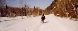 canada - qu�bec - Mont Tremblant : le parc. C est parti pour la balade en raquette.