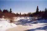 canada - qu�bec - Charlevoix : un petit ruisseau ...