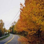 Route du Québec en automne