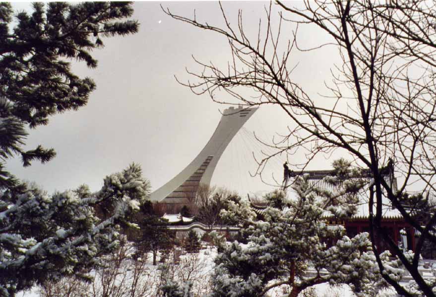 Le jardin botanique de Montréal en hiver