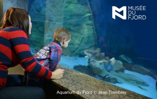 Aquarium du musée du Fjord